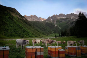 puralp-header